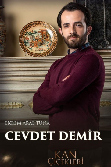 Кровавые цветы - постер сериала