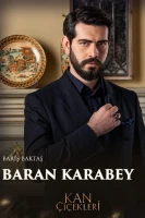 Кровавые цветы - постер сериала